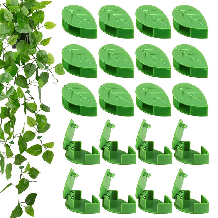 Invisible Plant Climbing Wall Fixture Clips