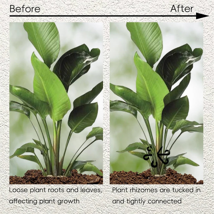 Reusable Plant Stem Folding Frame