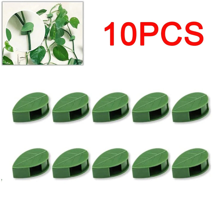 Invisible Plant Climbing Wall Fixture Clips